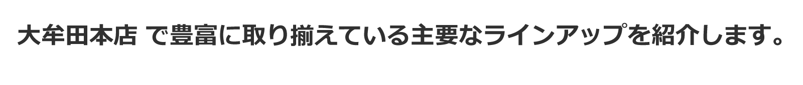 大牟田本店で豊富に取り揃えている主要なラインアップを紹介します。